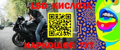 стафф Лесосибирск