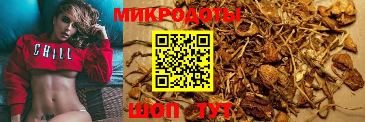Галлюциногенные грибы GOLDEN TEACHER Губкинский
