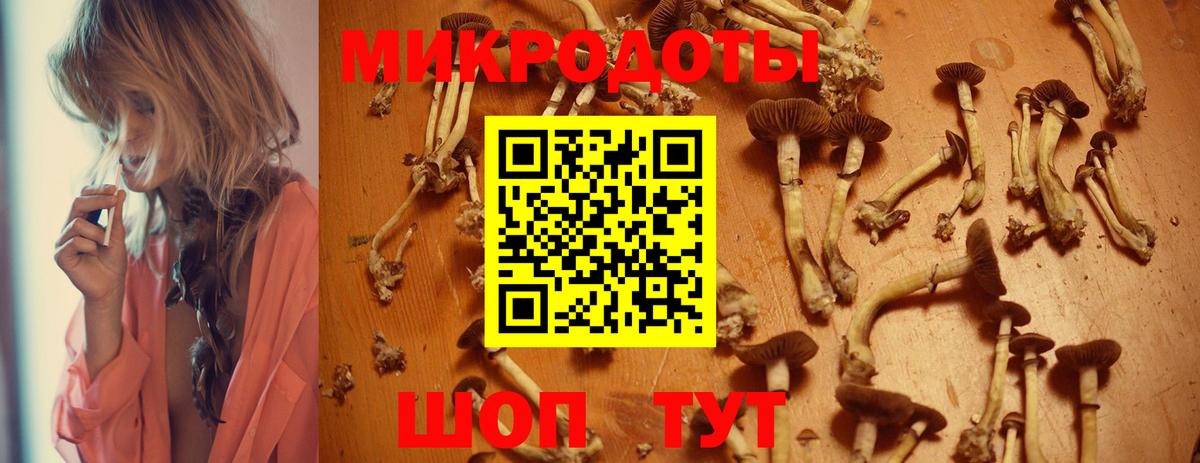 Псилоцибиновые грибы Psilocybe  Псилоцибиновые грибы мицелий  Губкинский  Вход с VPN 